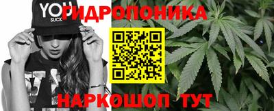 спайс Берёзовский