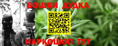 спайс Берёзовский